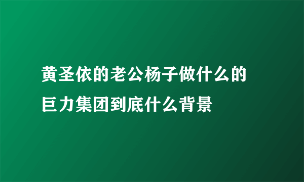 黄圣依的老公杨子做什么的 巨力集团到底什么背景