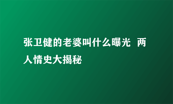 张卫健的老婆叫什么曝光  两人情史大揭秘