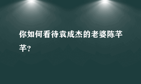 你如何看待袁成杰的老婆陈芊芊？