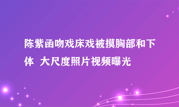 陈紫函吻戏床戏被摸胸部和下体  大尺度照片视频曝光