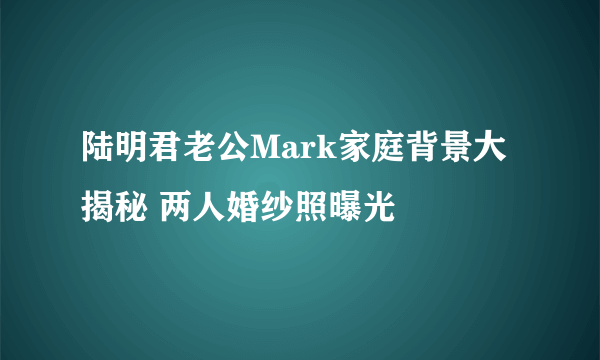 陆明君老公Mark家庭背景大揭秘 两人婚纱照曝光