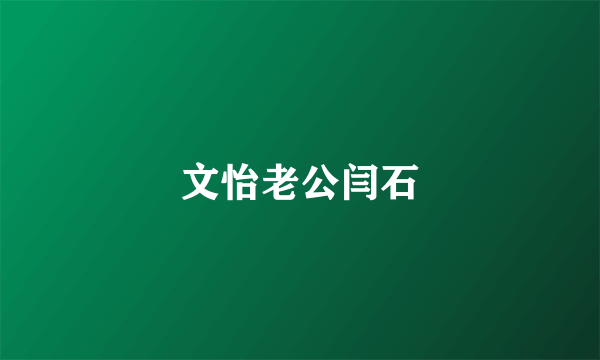 文怡老公闫石