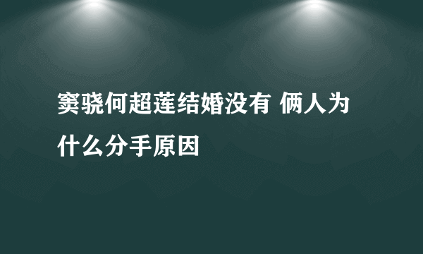 窦骁何超莲结婚没有 俩人为什么分手原因