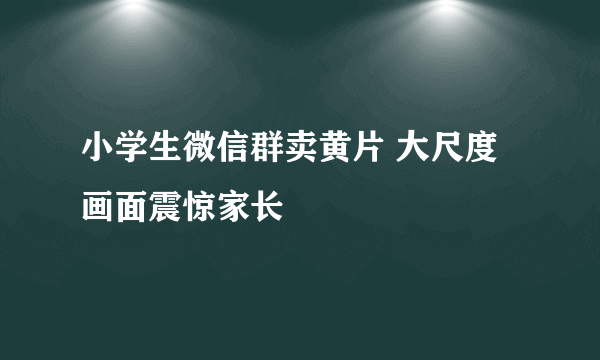 小学生微信群卖黄片 大尺度画面震惊家长