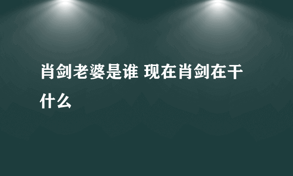 肖剑老婆是谁 现在肖剑在干什么