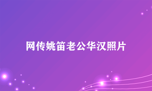 网传姚笛老公华汉照片