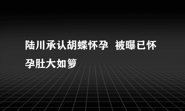 陆川承认胡蝶怀孕  被曝已怀孕肚大如箩