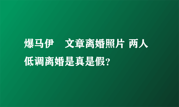 爆马伊琍文章离婚照片 两人低调离婚是真是假？