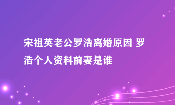 宋祖英老公罗浩离婚原因 罗浩个人资料前妻是谁