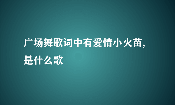 广场舞歌词中有爱情小火苗,是什么歌