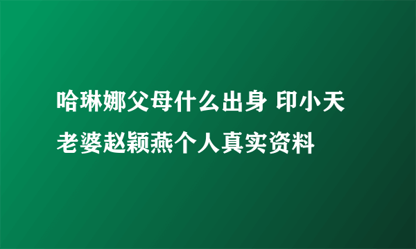 哈琳娜父母什么出身 印小天老婆赵颖燕个人真实资料