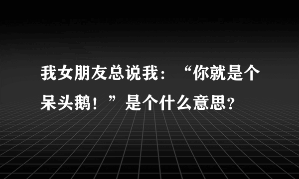 我女朋友总说我：“你就是个呆头鹅！”是个什么意思？