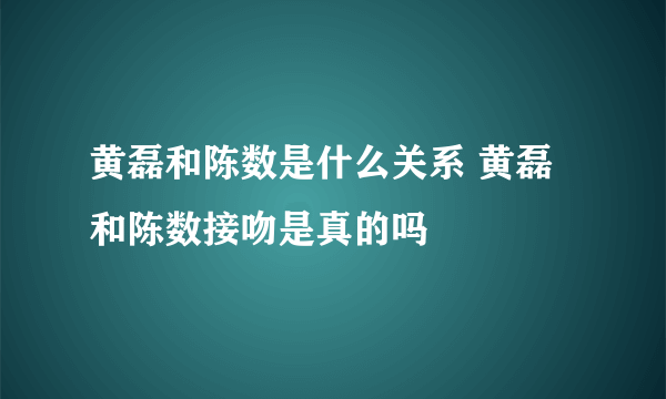 黄磊和陈数是什么关系 黄磊和陈数接吻是真的吗