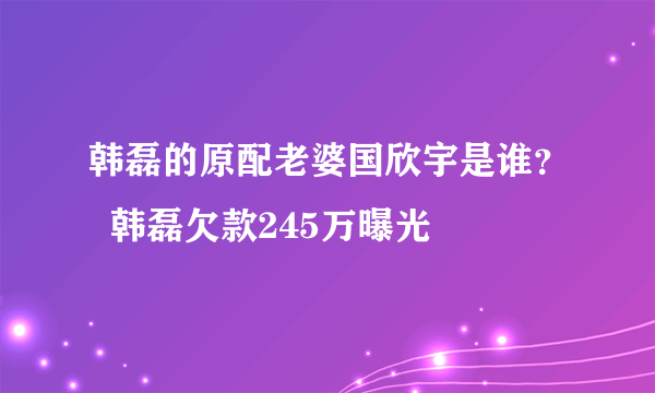 韩磊的原配老婆国欣宇是谁？  韩磊欠款245万曝光