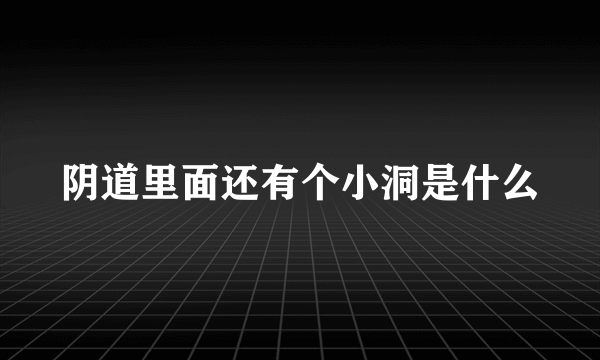 阴道里面还有个小洞是什么