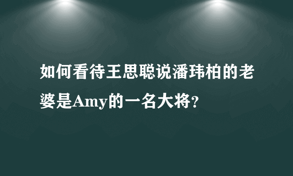 如何看待王思聪说潘玮柏的老婆是Amy的一名大将？