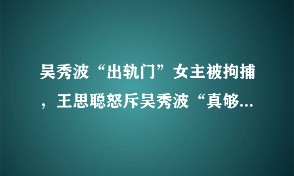 吴秀波“出轨门”女主被拘捕，王思聪怒斥吴秀波“真够坏的”，你怎么看？