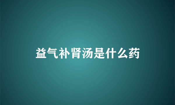 益气补肾汤是什么药