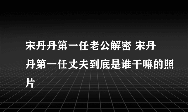 宋丹丹第一任老公解密 宋丹丹第一任丈夫到底是谁干嘛的照片