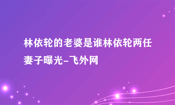 林依轮的老婆是谁林依轮两任妻子曝光-飞外网