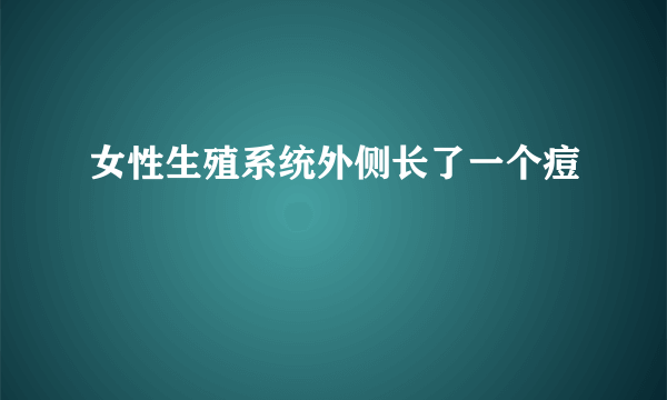 女性生殖系统外侧长了一个痘