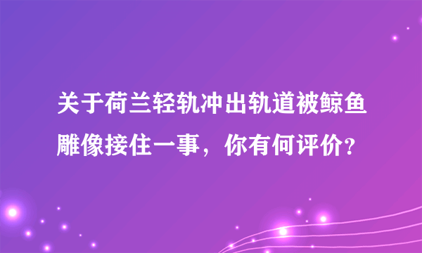 关于荷兰轻轨冲出轨道被鲸鱼雕像接住一事，你有何评价？