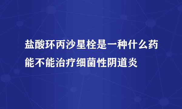 盐酸环丙沙星栓是一种什么药能不能治疗细菌性阴道炎