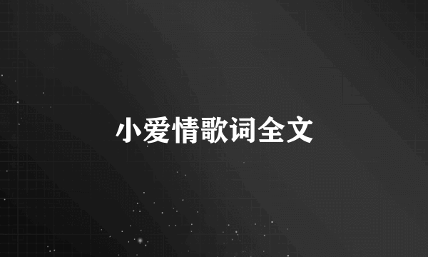 小爱情歌词全文