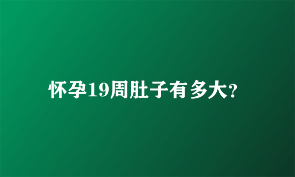 怀孕19周肚子有多大？