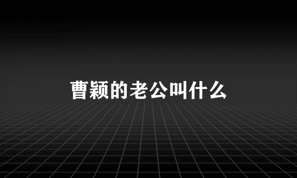 曹颖的老公叫什么