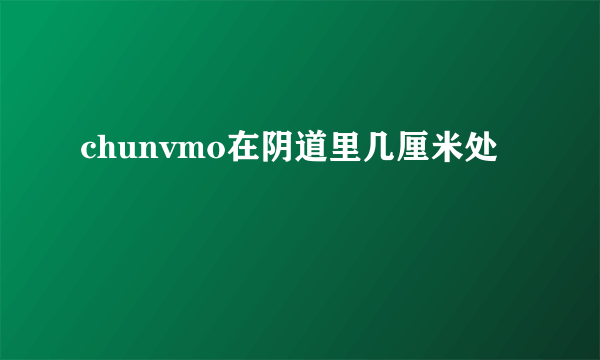 chunvmo在阴道里几厘米处