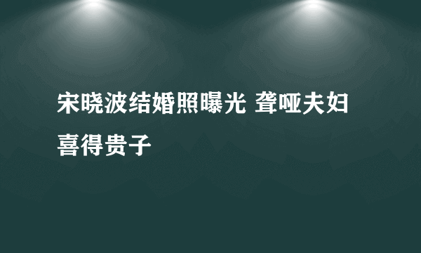 宋晓波结婚照曝光 聋哑夫妇喜得贵子