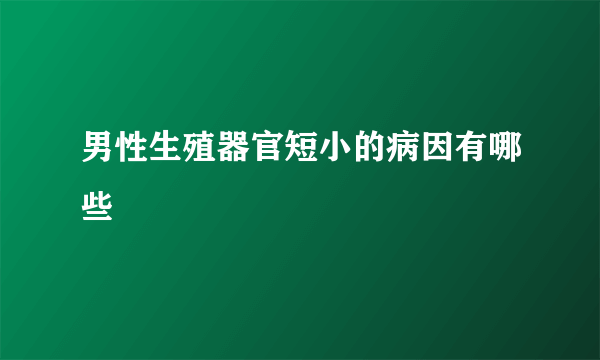 男性生殖器官短小的病因有哪些