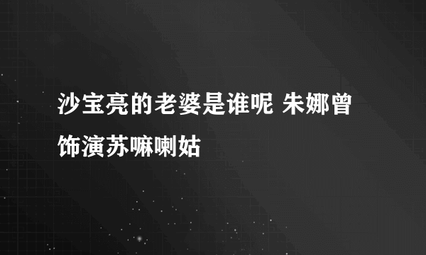 沙宝亮的老婆是谁呢 朱娜曾饰演苏嘛喇姑