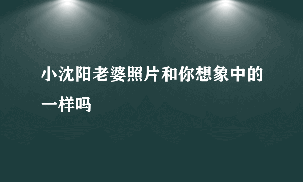 小沈阳老婆照片和你想象中的一样吗