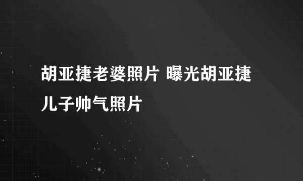 胡亚捷老婆照片 曝光胡亚捷儿子帅气照片