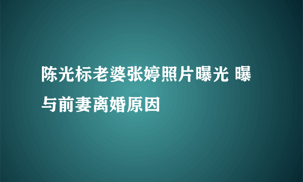 陈光标老婆张婷照片曝光 曝与前妻离婚原因