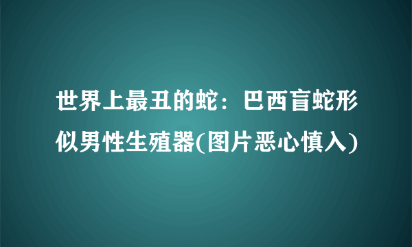 世界上最丑的蛇：巴西盲蛇形似男性生殖器(图片恶心慎入)