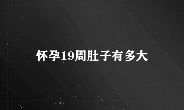 怀孕19周肚子有多大