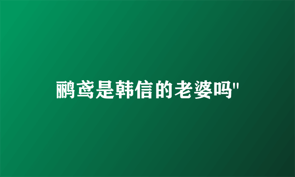 鹂鸢是韩信的老婆吗