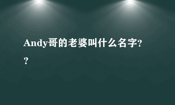 Andy哥的老婆叫什么名字？？