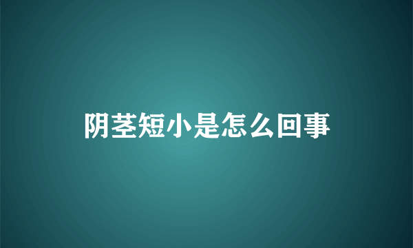 阴茎短小是怎么回事