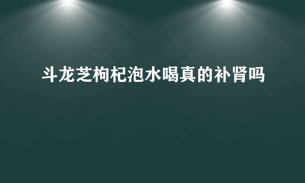 斗龙芝枸杞泡水喝真的补肾吗