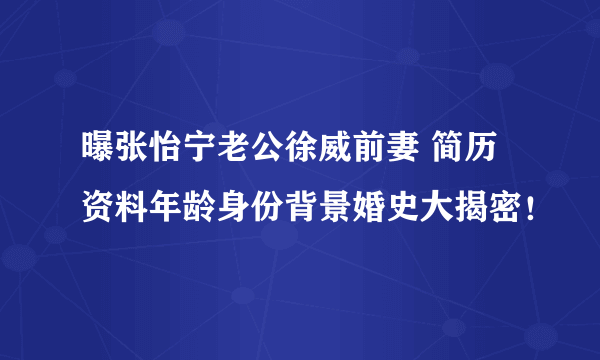 曝张怡宁老公徐威前妻 简历资料年龄身份背景婚史大揭密！