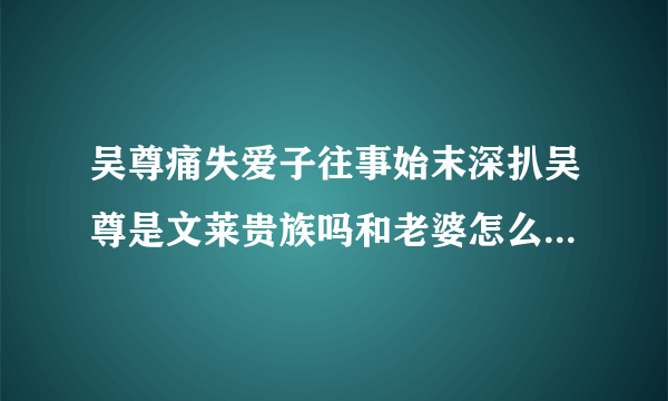 吴尊痛失爱子往事始末深扒吴尊是文莱贵族吗和老婆怎么认识的_飞外网