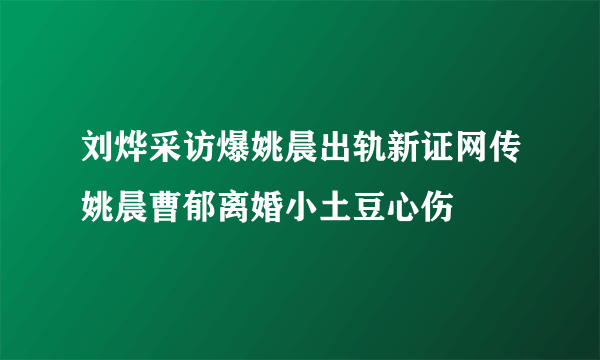 刘烨采访爆姚晨出轨新证网传姚晨曹郁离婚小土豆心伤