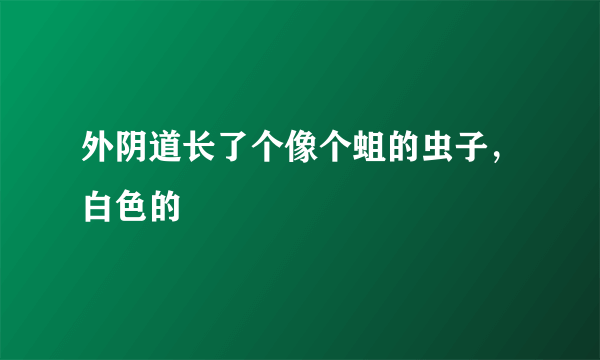 外阴道长了个像个蛆的虫子，白色的