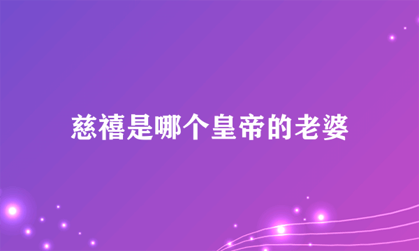 慈禧是哪个皇帝的老婆