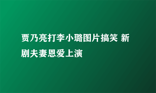 贾乃亮打李小璐图片搞笑 新剧夫妻恩爱上演