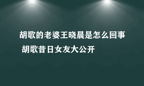 胡歌的老婆王晓晨是怎么回事 胡歌昔日女友大公开